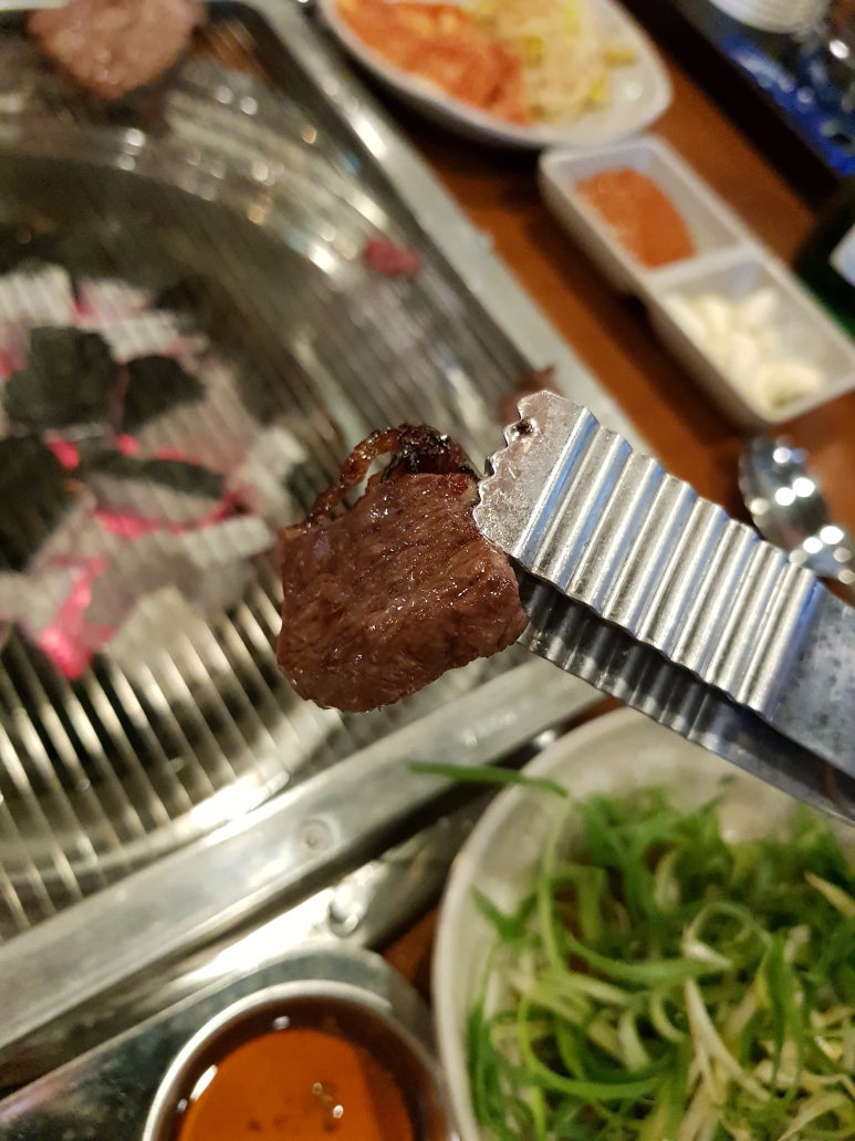 고기바보 이미지