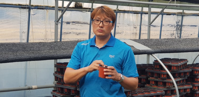 다솜화원 이미지