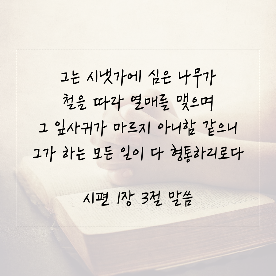 선호인테리어 이미지