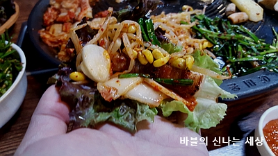 정원복돼지 이미지