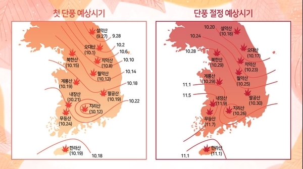 엠디오토 이미지