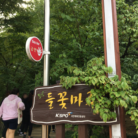 콕스다이어트캠프 이미지