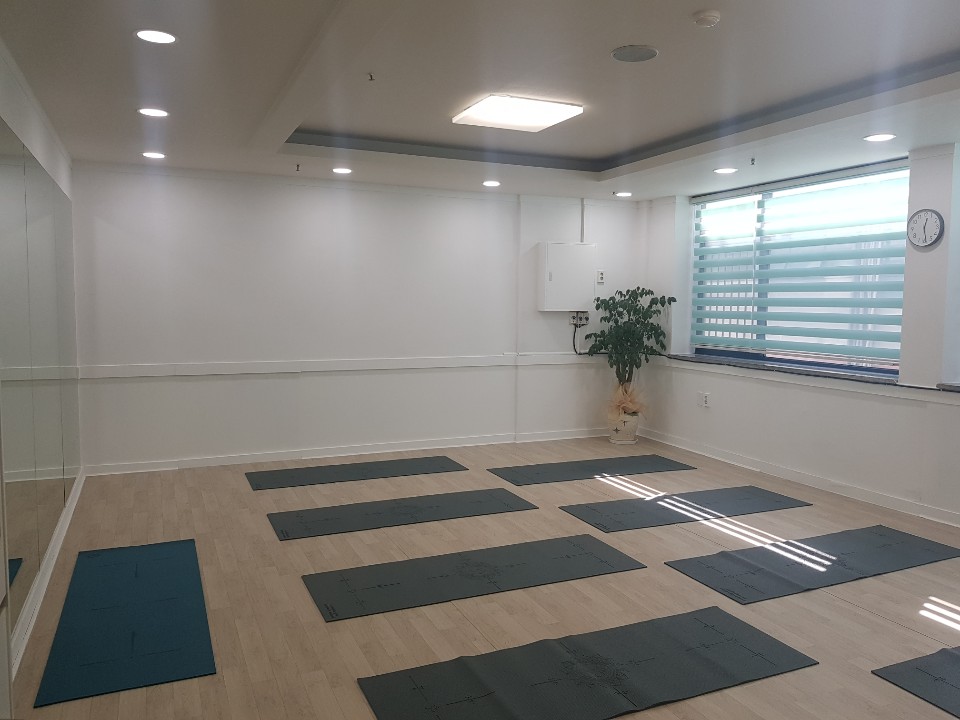 일산SNPE바른자세척추운동 이미지