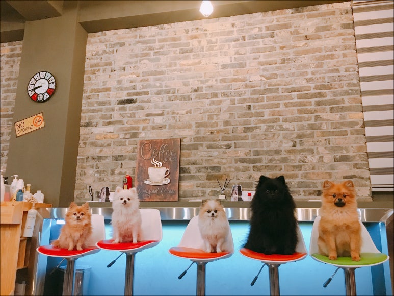 와이헤어 이미지