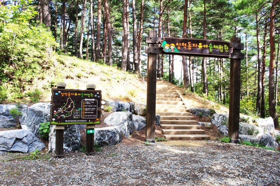 삼척동자 유아숲체험원 이미지