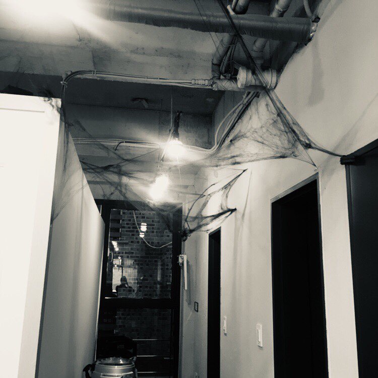 헤어마시멜로 이미지
