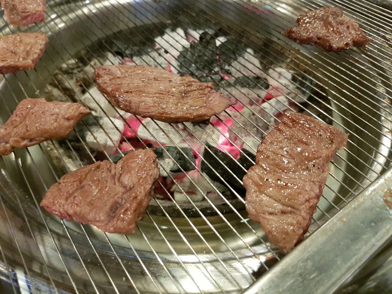 고기바보 이미지