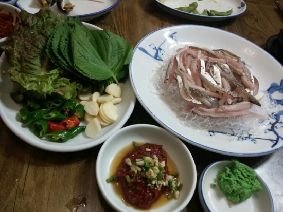 동해바다회 이미지