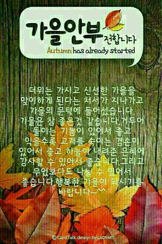 세기냉열 이미지