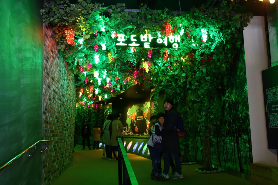 영동와인터널와인판매장 이미지