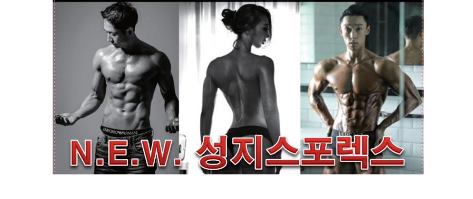 성지스포렉스 이미지