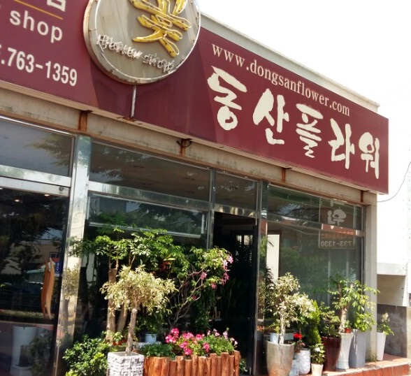 동산플라워 이미지