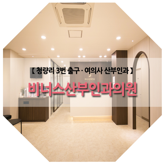 비너스산부인과 이미지
