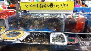일이삼횟집 이미지