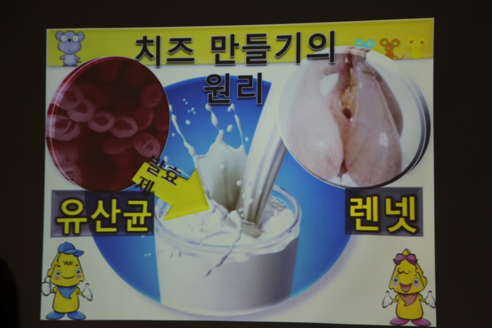 고고임실치즈피자 이미지