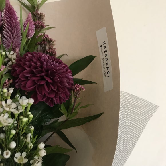 꽃방해바라기 이미지