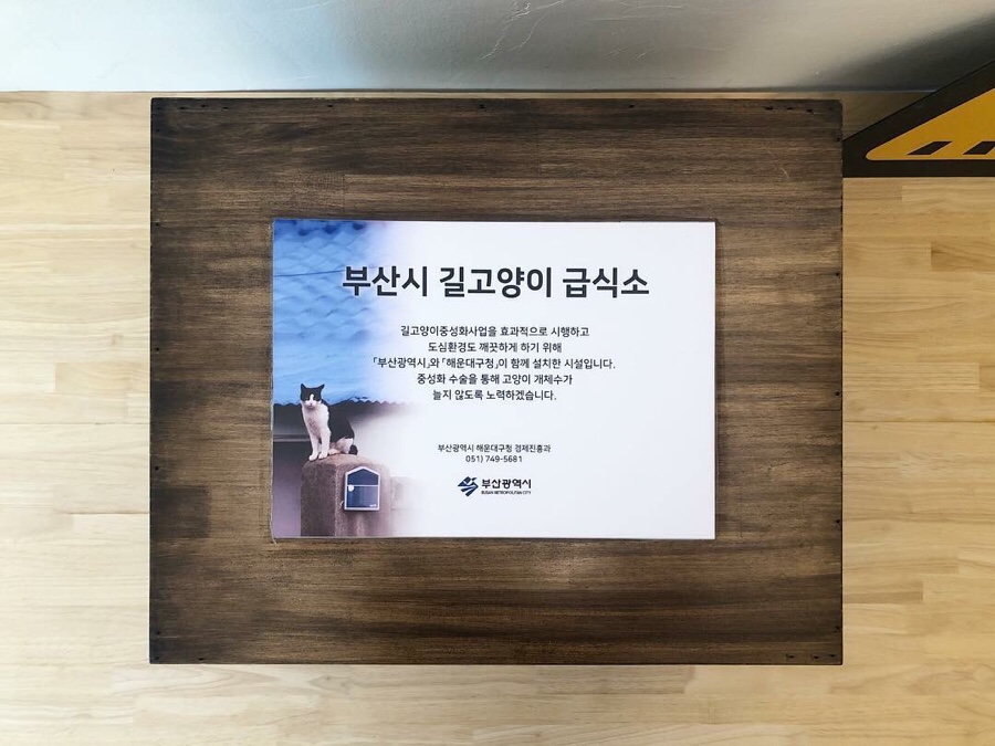 고양이발자국 이미지