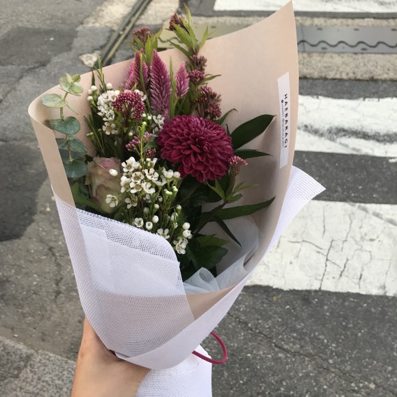 꽃방해바라기 이미지