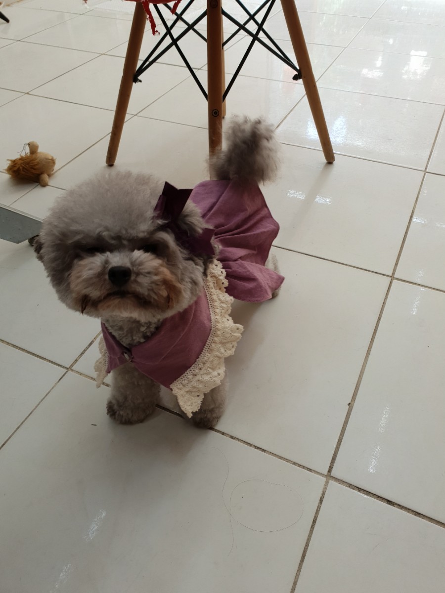 애쉬핸드 이미지