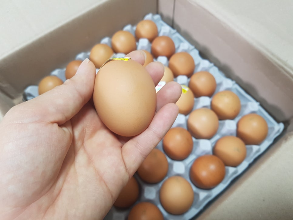 조은계란유통 이미지