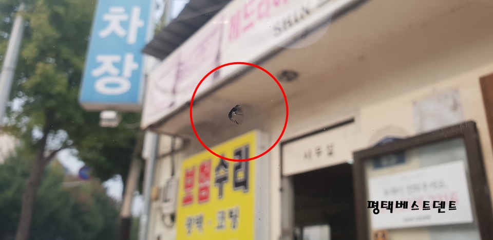 베스트덴트 이미지