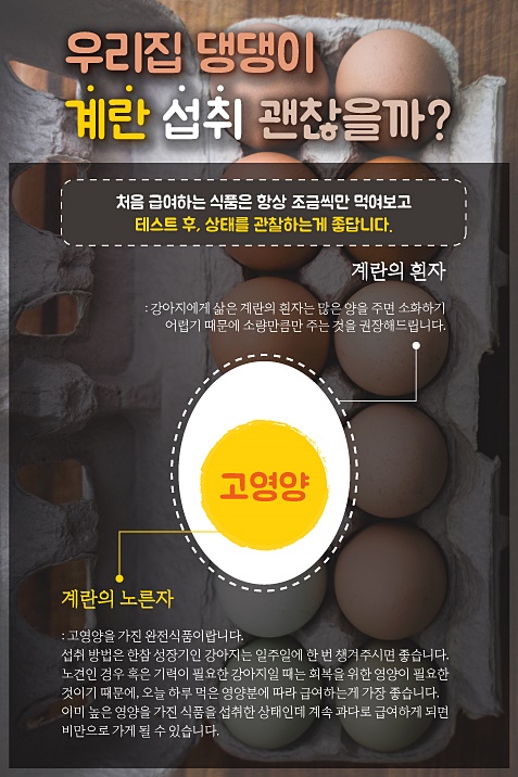 요미토이 이미지
