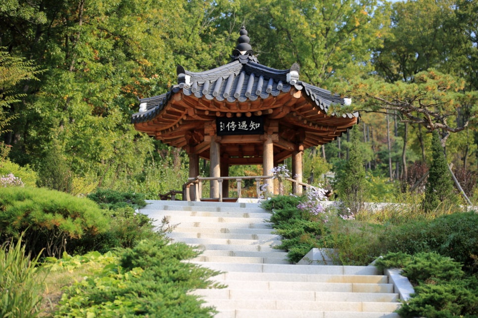 지우통상 이미지