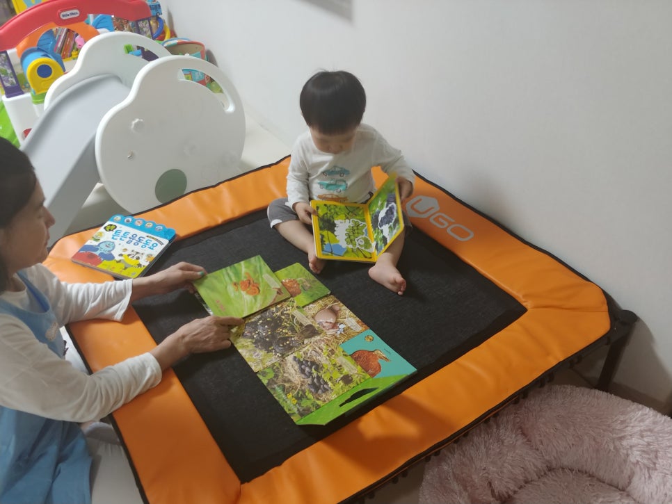 튼튼방방 이미지