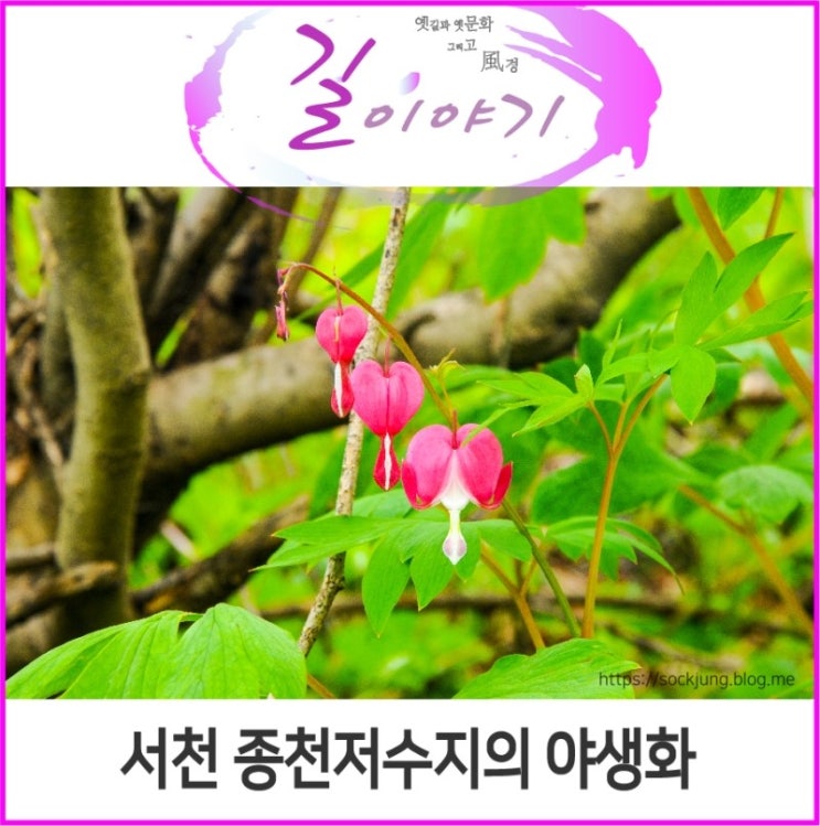 종천(서울) 이미지