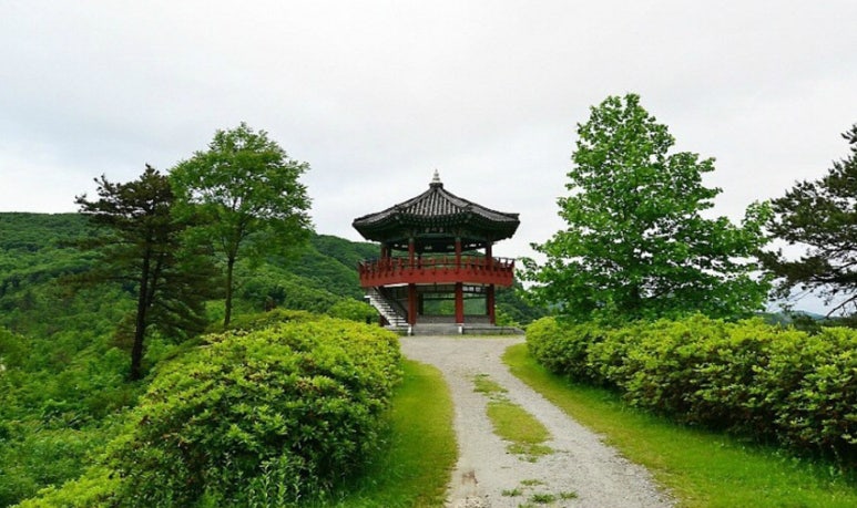충청남도산림자원연구소(금강자연휴양림) 이미지
