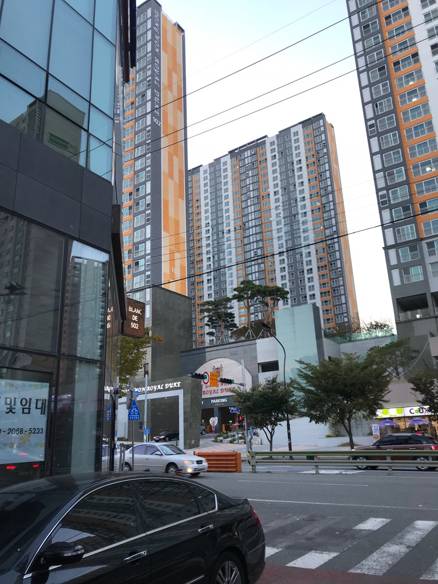 로얄세탁소 이미지