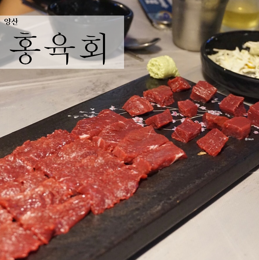 홍육회 이미지