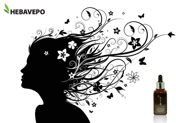 헤바베오 (Hebavepo) 이미지
