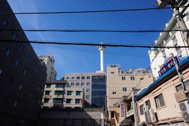 새광장해장국 이미지