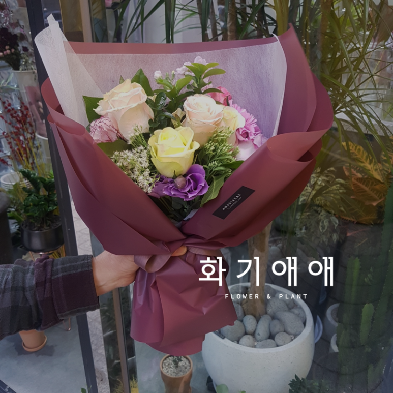 화기애애 플라워&플랜트 이미지