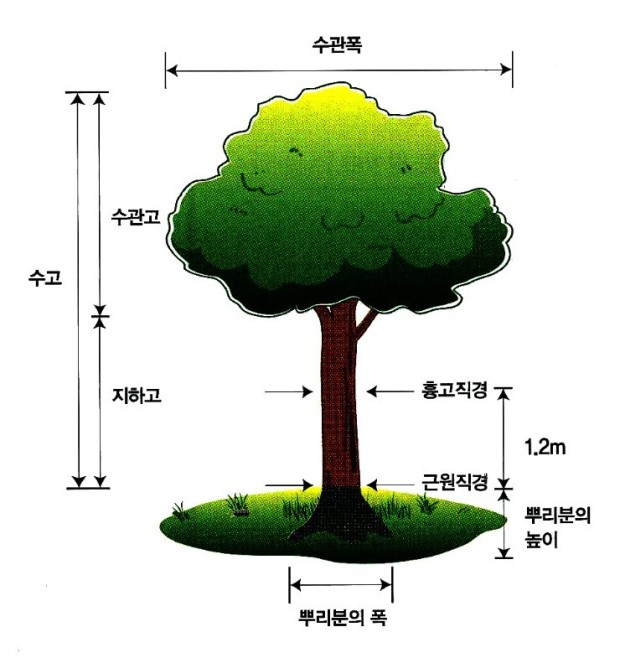 조경설계정원 이미지