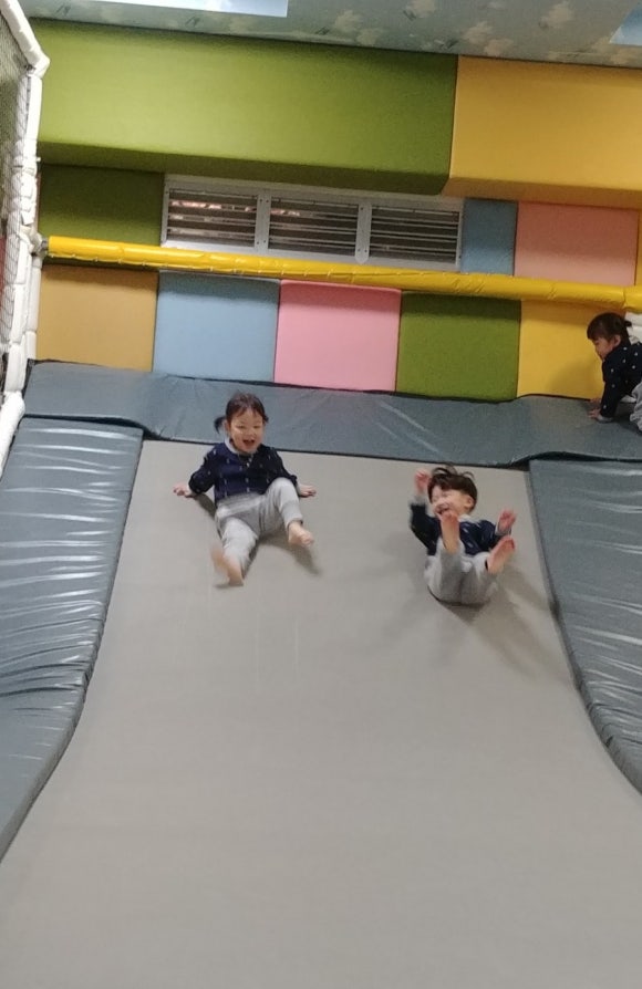 키크는 나무 이미지