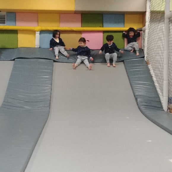 키크는 나무 이미지