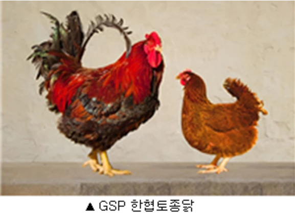 나라축산 주식회사 이미지