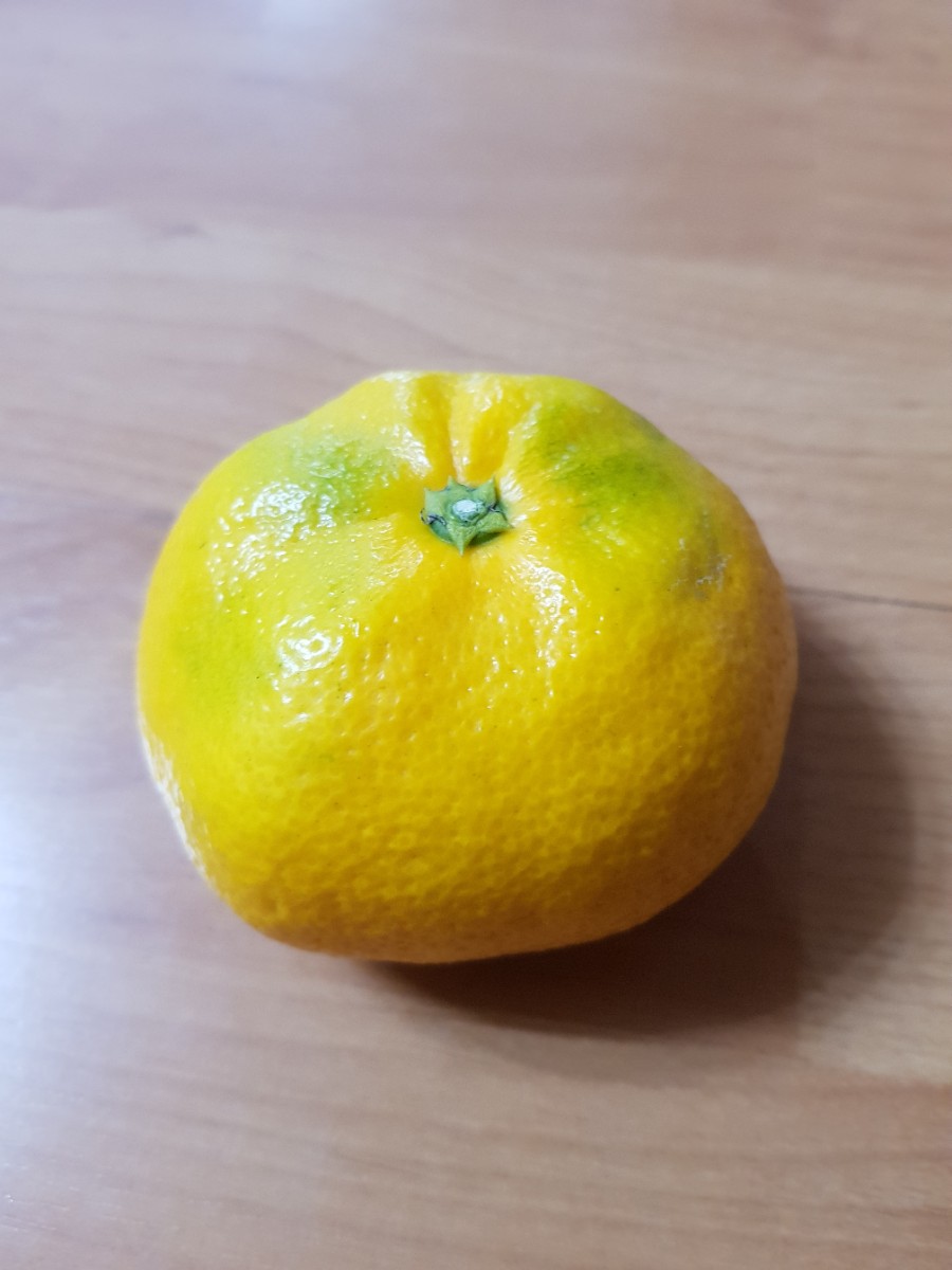 순덕이네왕갈비 사진 6