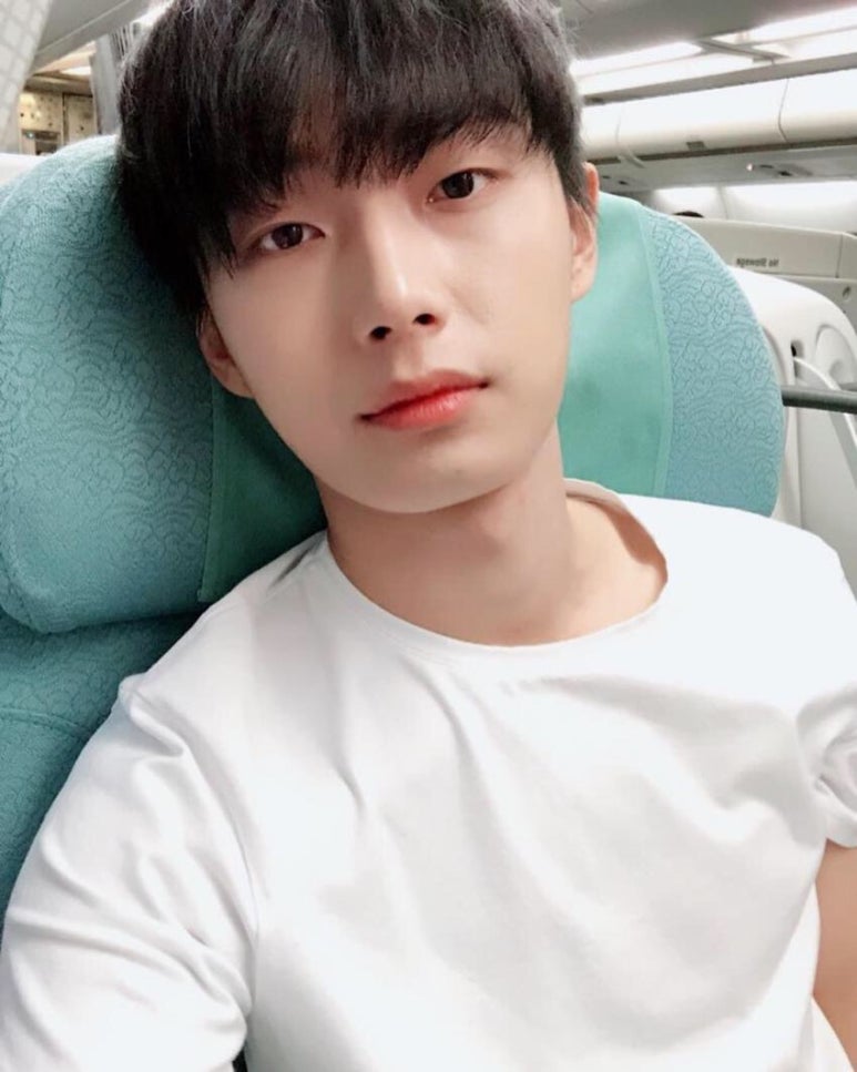 팽미 이미지