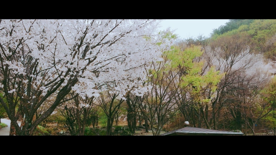 서창101수작부리는카페 이미지