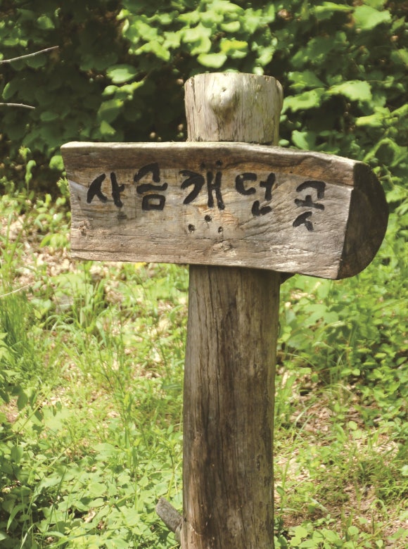 사금식당 이미지