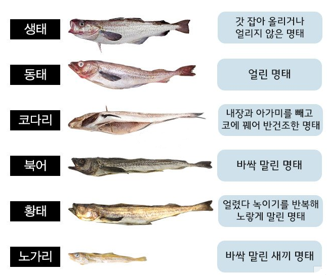코찜코다리 이미지