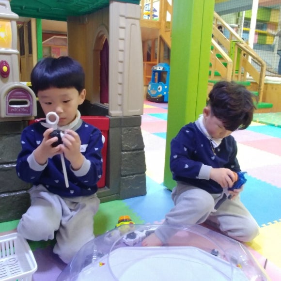 키크는 나무 이미지