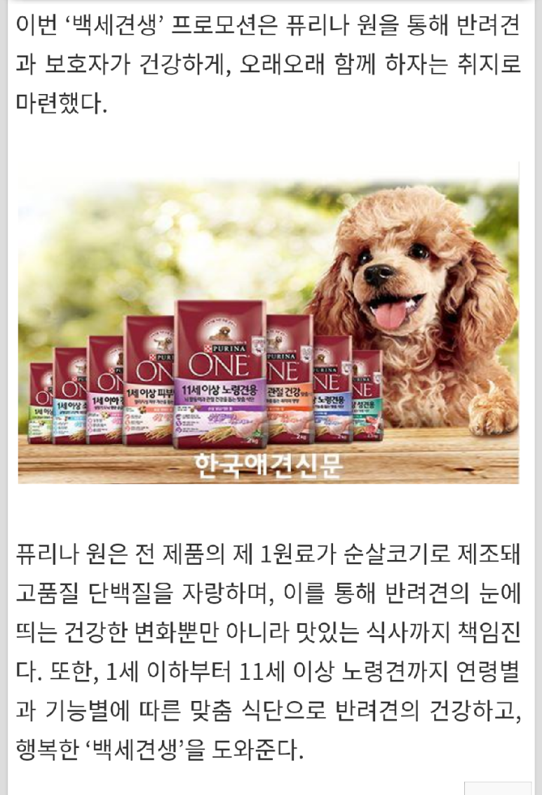 백세견생 이미지