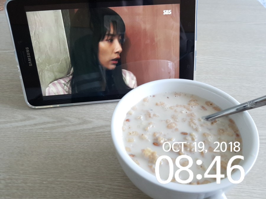 찐 하루살이 이미지