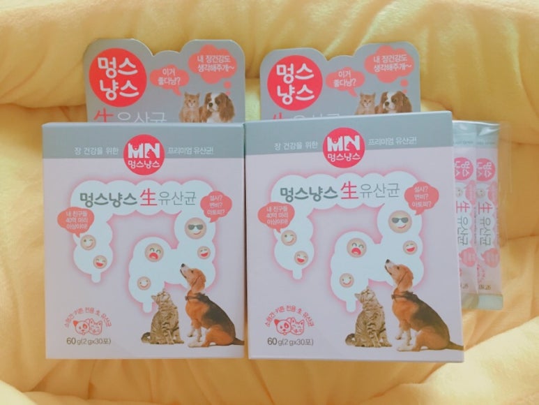 냥스 이미지