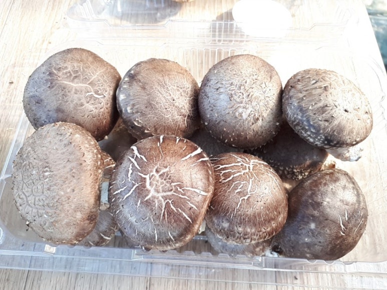 지리산천령표고농원 이미지