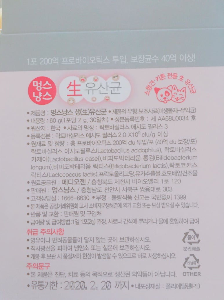 냥스 이미지
